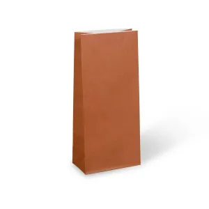 Earth Collection Burnt Orange Paper Party Bags 22cm x 10cm - Packet of 12