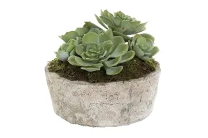 Flora Artificial Green Succulent In Ceramic Pot