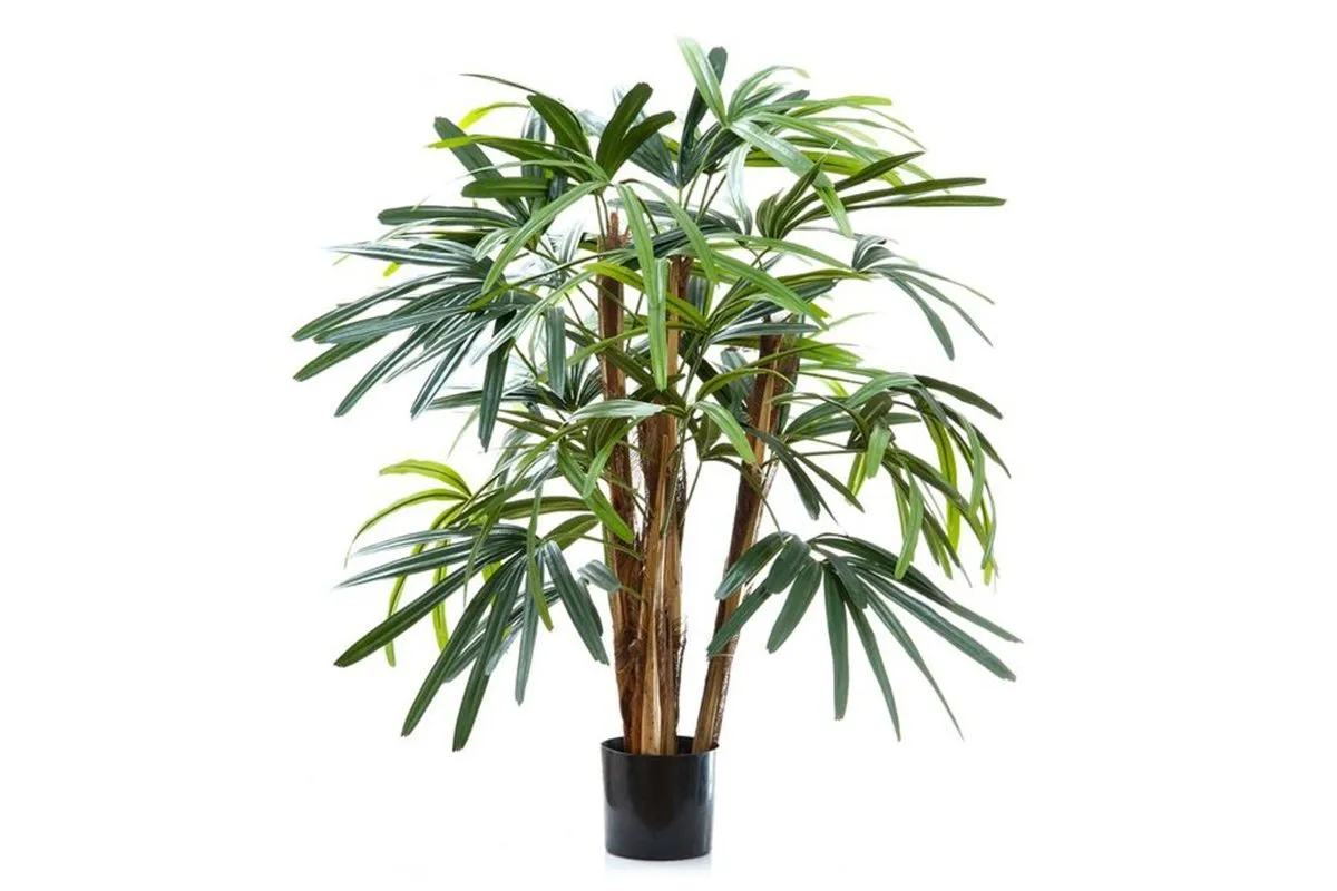 Flora Artificial Raphis Palm with 236 Leaves 1000mm