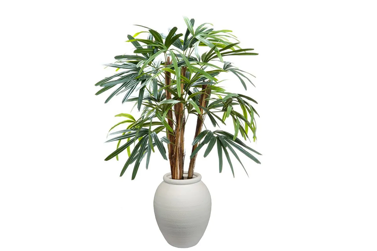 Flora Artificial Raphis Palm with 236 Leaves 1000mm