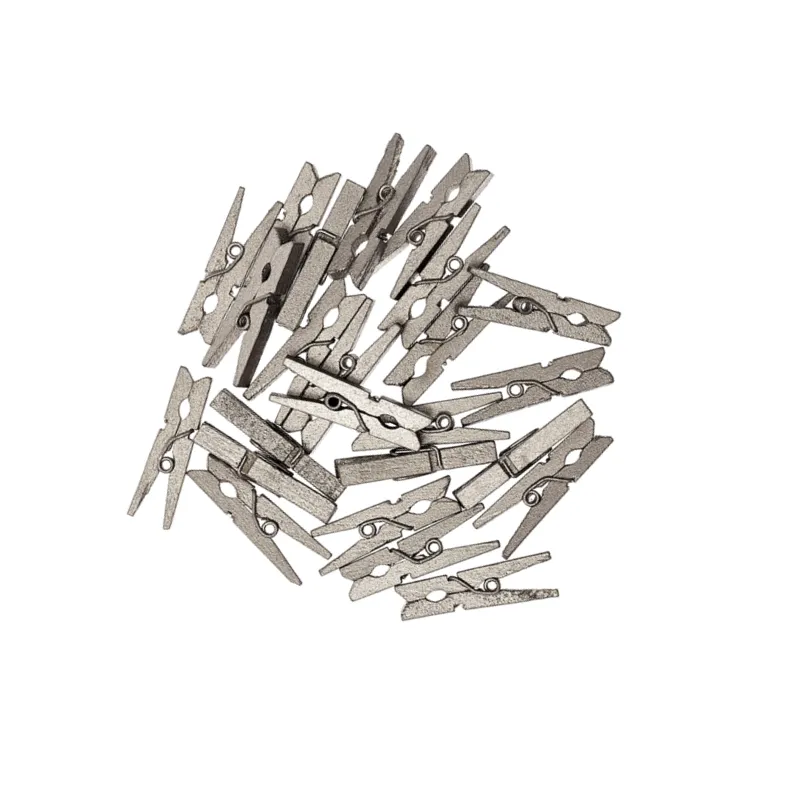 Tiny Silver Wooden Pegs (24 pack)